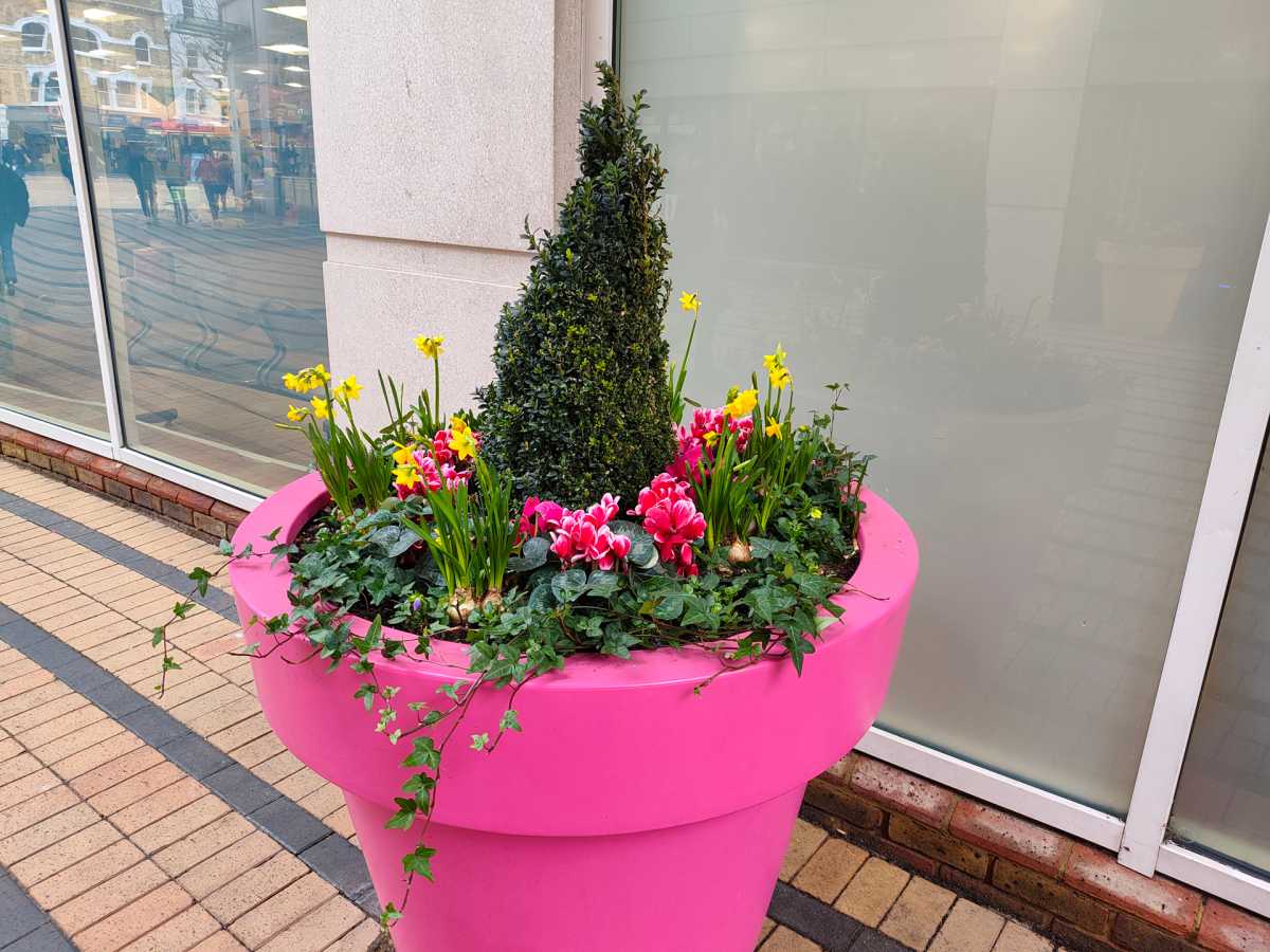 Poco M8 Pro camera sample