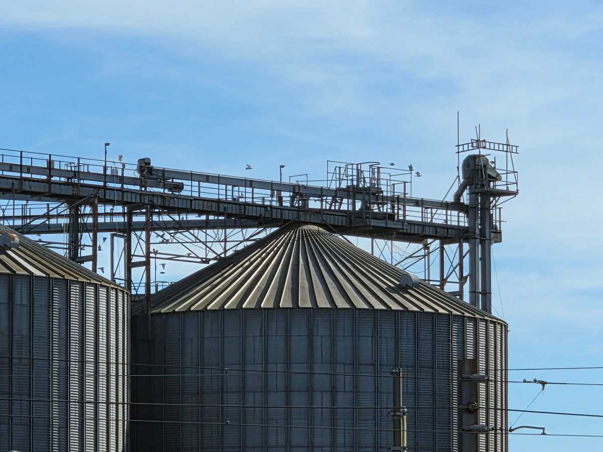 Samsung Galaxy S26 Factory 10x