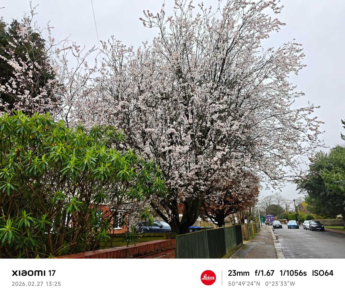 Xiaomi 17 camera sample blossom zoom 1x
