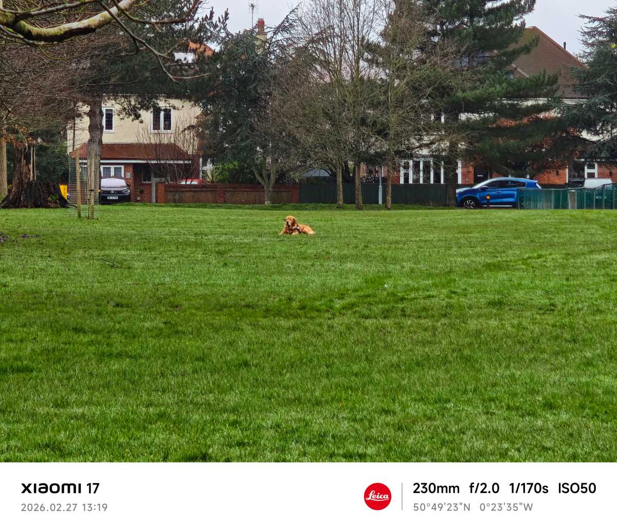 Xiaomi 17 camera sample dog zoom 10x